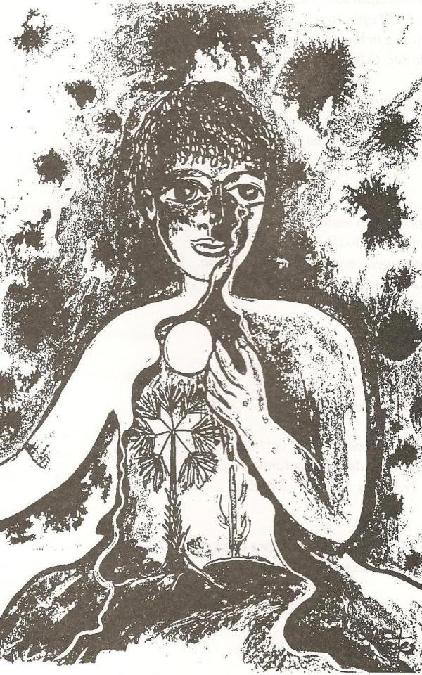 rio-guaribas-ii